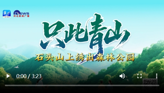 只此青山 | 石头山上绣出森林公园