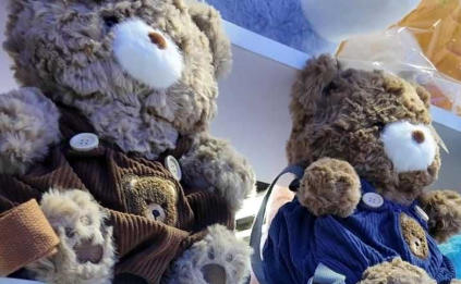 看见雄安丨共享赋能产业链，雄安毛绒玩具打造世界名片