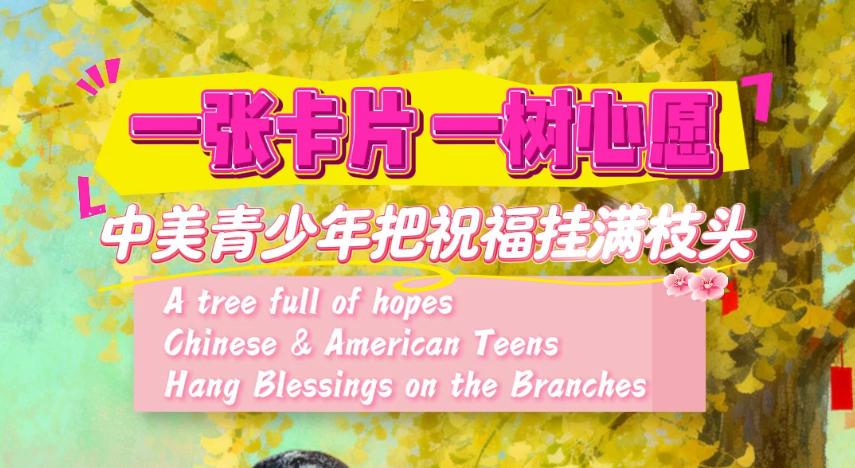 一张卡片 一树心愿 中美青少年把祝福挂满枝头