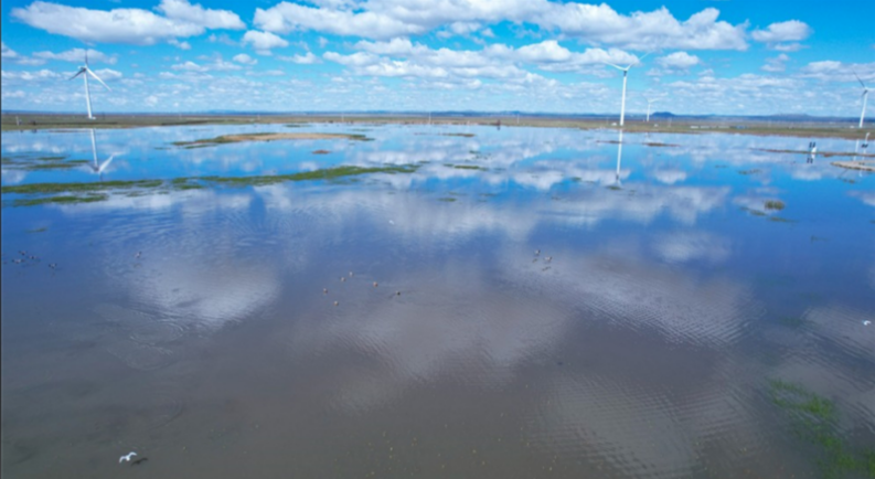 1774834920713302.png image.png