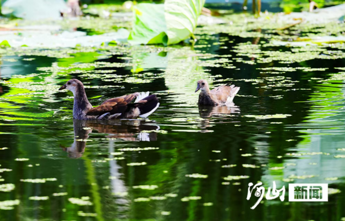 1774837199346711.png image.png