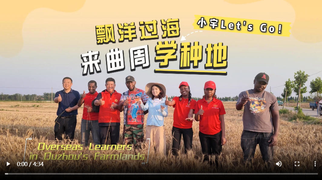 小宇Let's go丨漂洋过海来曲周学种地