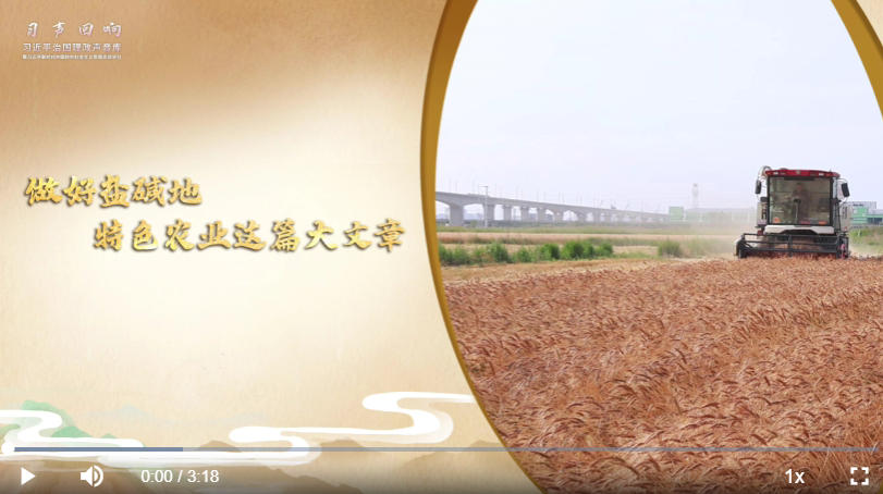 【习声回响】做好盐碱地特色农业这篇大文章