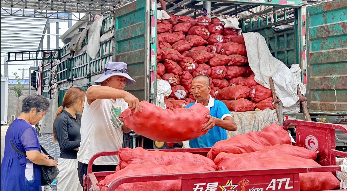 乡村行 看振兴 | 定州息冢镇贾村农产品交易市场驶入快车道