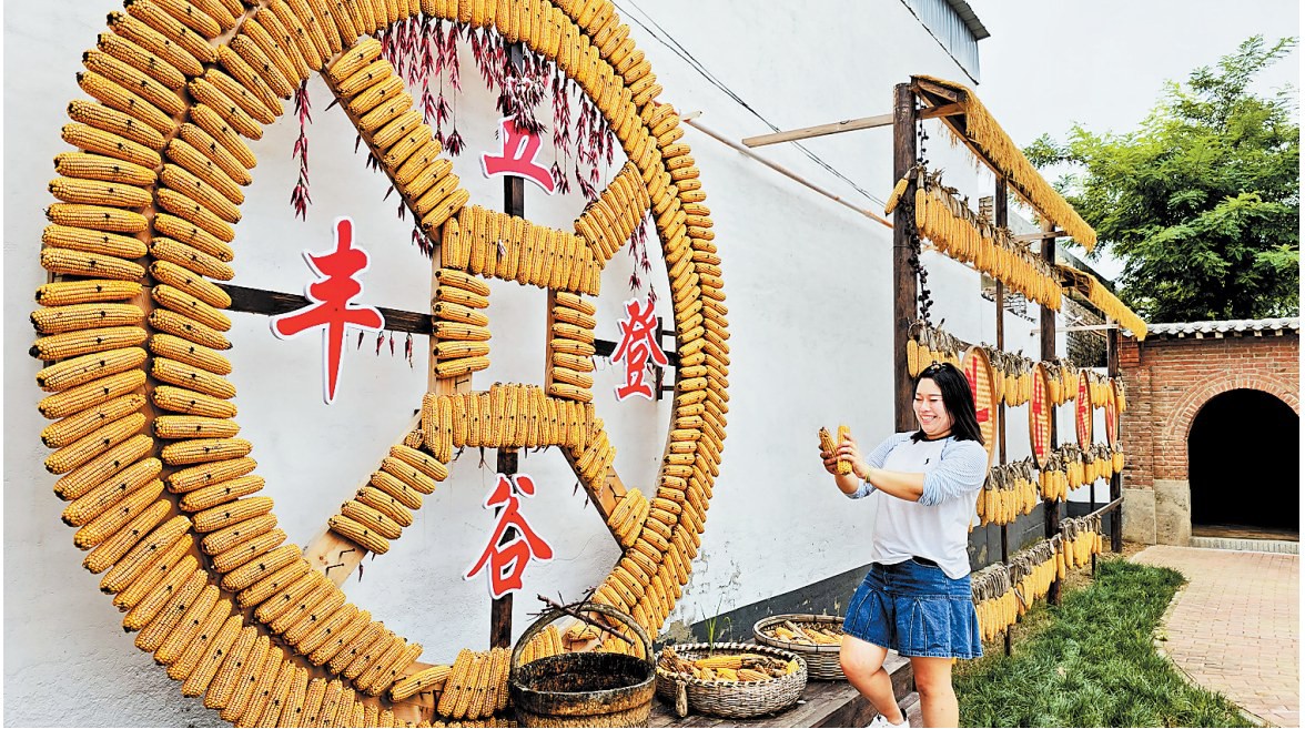 乡村行 看振兴 | 定州市留早镇西南合村坚持“四轮驱动”和美乡村建设